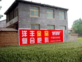高邮如何让墙体广告展现最大化效果