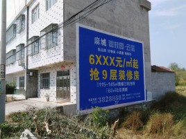 高邮墙体广告质量分析