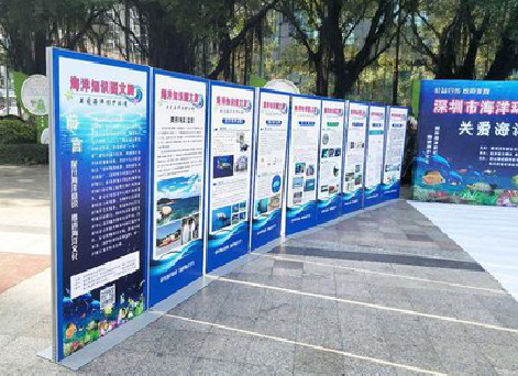 高邮KT板的种类和知识。